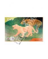 Картинка к книге Дикие животные - Тигр (M003)