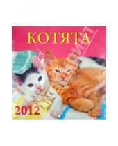Картинка к книге Календарь настенный 300х300 - Календарь 2012 "Котята" (70205)