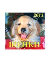 Картинка к книге Календарь настенный 300х300 - Календарь 2012 "Щенки" (70206)
