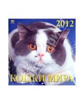 Картинка к книге Календарь настенный 300х300 - Календарь 2012 "Кошки мира" (70219)