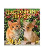 Картинка к книге Календарь настенный 160х170 - Календарь 2012 "Настоящие друзья" (30206)