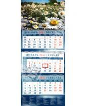 Картинка к книге Календарь квартальный 320х780 - Календарь 2012 "Ромашки" (14250)