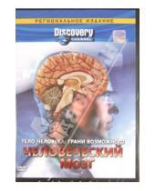 Картинка к книге Джереми Тернер - Тело человека: Грани возможного. Человеческий мозг (DVD)