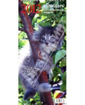 Картинка к книге Календари настенные на ригеле 285*285 - Календарь перекидной для ежедневных записей "Кошки" на 2012 год