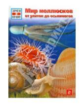 Картинка к книге Дитмар Мертенс - Мир моллюсков от улиток до осьминогов