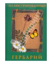 Картинка к книге Н. А. Маневич А., И. Маневич - Иллюстрированный гербарий