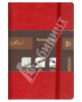 Картинка к книге Доминанта - Бизнес-блокнот In Folio "Euro Business" с ручкой (red) (1032)