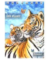 Картинка к книге Феникс+ - Блокнот "Тигры" 40 листов, А7 (1-24428)