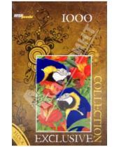 Картинка к книге Flock collection - Step Puzzle-1000. Попугаи (79520)