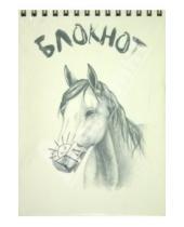 Картинка к книге Блокноты "Рисованные" - Блокнот рисованный "Лошади" (В-273)