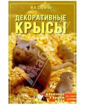 Картинка к книге Ирина Скрипко - Декоративные крысы