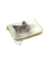 Картинка к книге Пеналы - Пенал односекционный "Кошка" (850529)