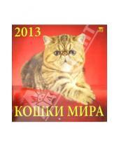 Картинка к книге Календарь настенный 300х300 - Календарь 2013 "Кошки мира" (70319)