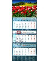 Картинка к книге Календарь квартальный 320х780 - Календарь 2013 "Тюльпаны" (14355)