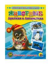 Картинка к книге Обучающие карточки - Обучающие карточки. Животные Арктики и Антарктики