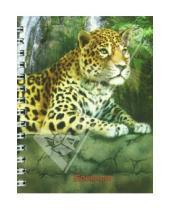 Картинка к книге Феникс+ - Блокнот "Леопард" 120 листов, А6 (23645)