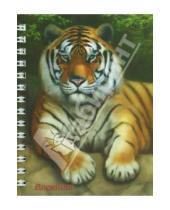 Картинка к книге Феникс+ - Блокнот "Тигр" 120 листов, А6 (23644)