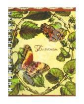 Картинка к книге Феникс+ - Блокнот "Бабочка" 120 листов, А6 (27584)