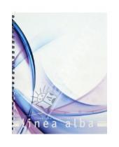 Картинка к книге Доминанта - Тетрадь "Линеа Альба" А5, 100 листов, клетка (N047)