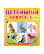 Картинка к книге От 0 до 18 месяцев - Детёныши животных (от 0 до 18 месяцев)