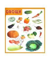 Картинка к книге Плакаты и таблицы - Плакат "Овощи"
