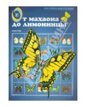 Картинка к книге Моя первая энциклопедия - От махаона до лимонницы. Бабочки
