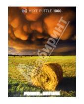 Картинка к книге Power of Nature - Puzzle-1000 "Наступающая буря" (29550)