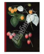 Картинка к книге Shy Fly - Блокнот "Ботаника". Малина