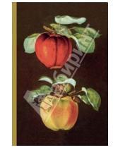 Картинка к книге Блокноты - Блокнот "Ботаника". Яблоки