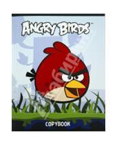 Картинка к книге Хатбер - Тетрадь Angry Birds, 48 листов, клетка (48Т5флВ1)