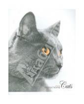 Картинка к книге тетради - Тетрадь 96 листов, клетка "Кошки" (Monochrome), в ассортименте (ТК963863)