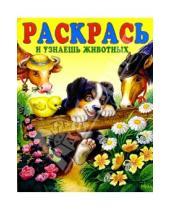 Картинка к книге Раскраски - Раскрась и узнаешь животных
