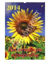 Картинка к книге Календарь настенный 350х500 - Календарь на 2014 год "Календарь природы" (12413)