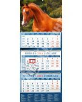 Картинка к книге Календарь квартальный 320х780 - Календарь 2014 на 3-х спиралях с пиколло и курсором "Портрет рыжей лошади арабской" (14409)