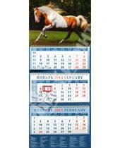 Картинка к книге Календарь квартальный 320х780 - Календарь 2014 на 3-х спиралях с пиколло и курсором "Рыже-пегая андалузская лошадь" (14414)