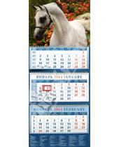 Картинка к книге Календарь квартальный 320х780 - Календарь 2014 на 3-х спиралях с пиколло и курсором "Портрет светло-серой арабской лошади" (14415)