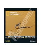 Картинка к книге Календарь 450х480 - Календарь на 2014 год "National Geographic. Живая природа" (7-6689)