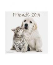 Картинка к книге Календарь 300х300 - Календарь на 2014 год "Заклятые друзья" (7-6241)
