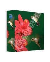 Картинка к книге SKAG - Папка-регистратор с арочным механизмом "3D Birds" (312035)