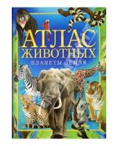 Картинка к книге Анита Анселми - Атлас животных планеты Земля