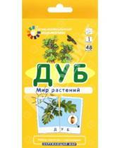 Картинка к книге М. Е. Гончарова - Дуб. Мир растений