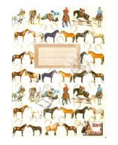 Картинка к книге Итальянские дизайнерские блокноты для записей - Блокнот. Лошади А6