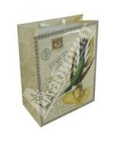 Картинка к книге Бумажные пакеты - Пакет бумажный для сувенирной продукции 17,8x22,9x9,8 (32520)