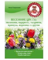 Картинка к книге Анна Гаврилова - Весенние цветы: тюльпаны, нарциссы, гиацинты, примула, морозник и другие