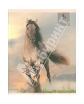 Картинка к книге Тетради - Тетрадь "Грациозные лошади" А5, 48 листов, клетка (ТК484261)