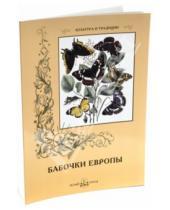 Картинка к книге Культура и традиции - Бабочки Европы