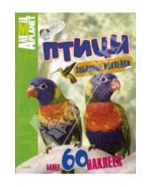 Картинка к книге Планета животных (Animal Planet) - Птицы. С забавными наклейками