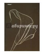 Картинка к книге Proff - Тетрадь "Elegant", А4, 80 листов, клетка, твердая обложка (6804145011)