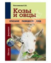 Картинка к книге Владимировна Елена Плотникова - Козы и овцы