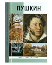 Картинка к книге Иванович Владимир Новиков - Пушкин